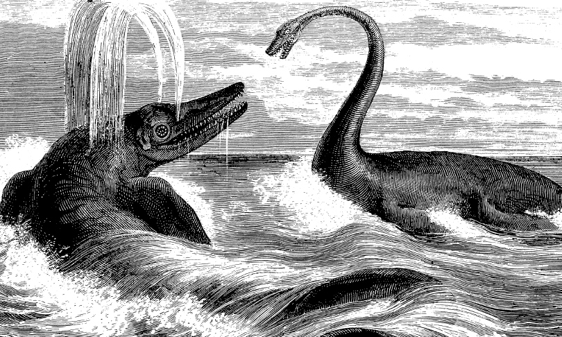 ilbuscailbusca_-_dinosaurs