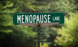 suesmith2_-_menopause