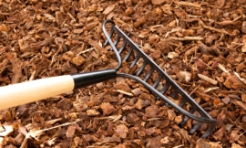 beardean_-_rake_chips