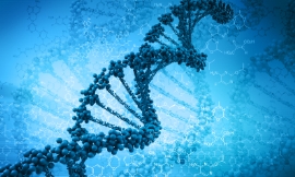 cosmin4000_-_DNA
