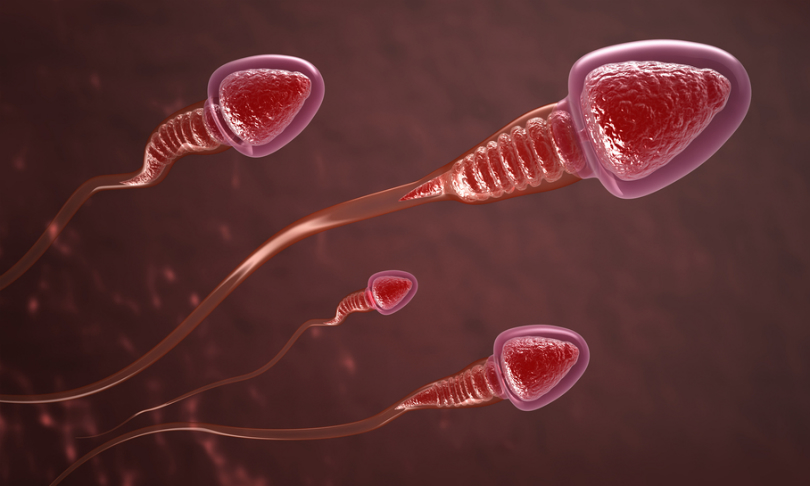 Alex_Mit_sperm_shutterstock