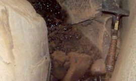 AncientPoo_MurdochUniversity
