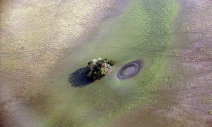 Bolivian-Amazonia_UW