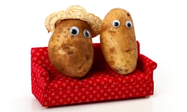 CHRISsadowski_-_couch_potatoes
