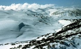 CSIRO_-_alps