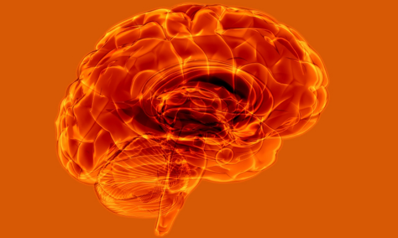 ChristianAnthony_Brain_iStock