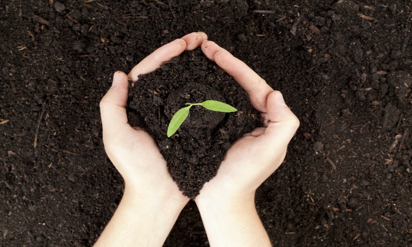 Dan_Kosmayer_soil_shutterstock
