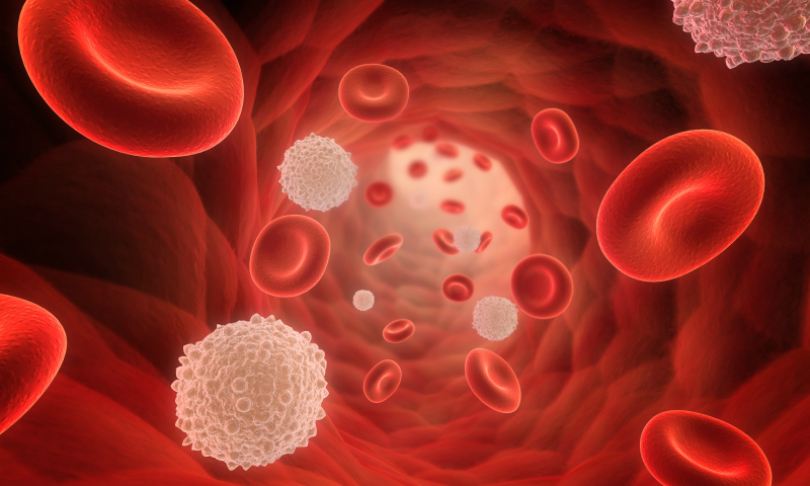 Eraxion_BloodCells_iStock