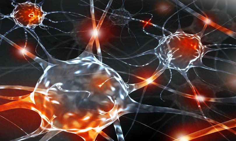Fedorov_neurons_Shutterstock