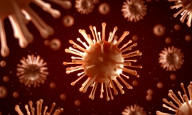 Henrik5000_-_virus_closeup