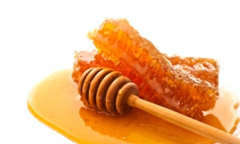 LuVo_-_honey