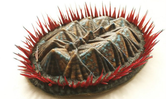 Mollusc_JakobVinther