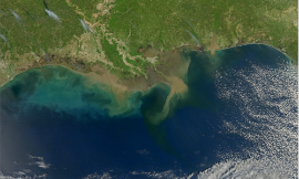 NASA_Sediment_in_the_Gulf_of_Mexico
