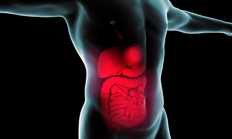 Naeblys_Bowel_shutterstock