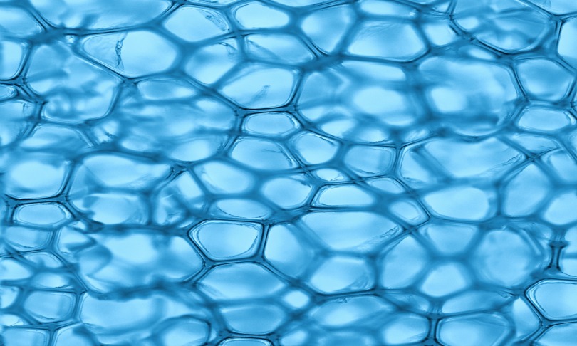 Nataliya_Hora_cells_shutterstock
