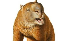 Peter_Trusler-Diprotodont-Museum_Victoria