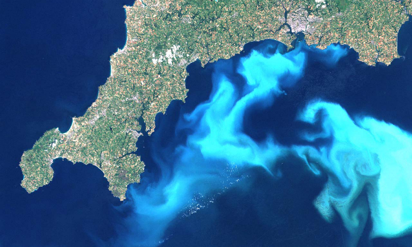 Phytoplankton_NASA