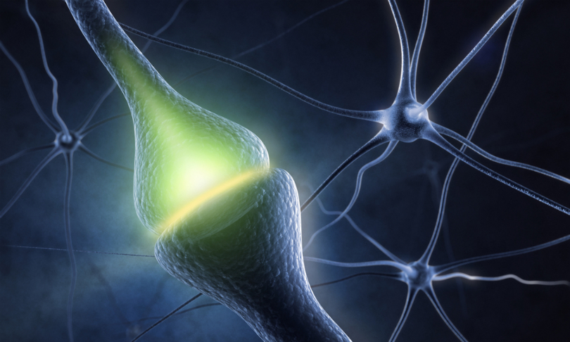 Sashkin_Neurons_shutterstock