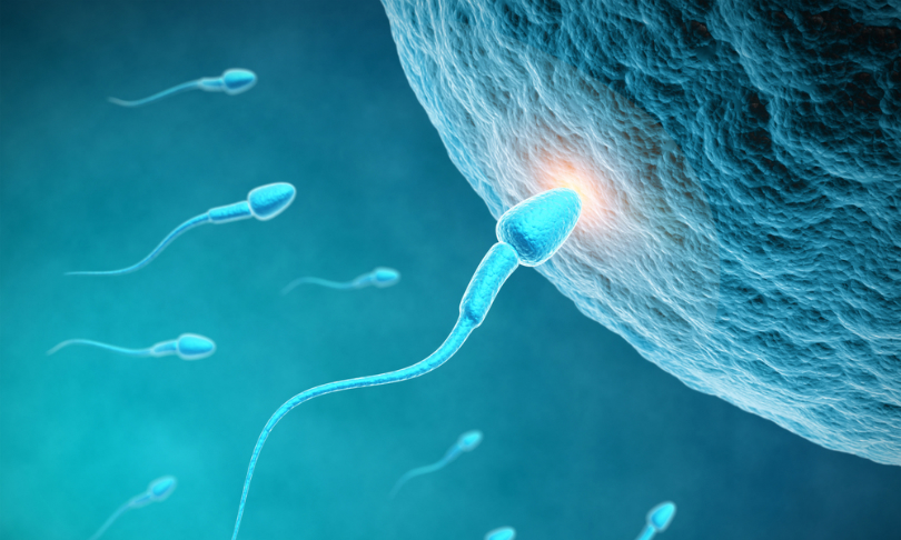 Sashkin_Sperm_shutterstock