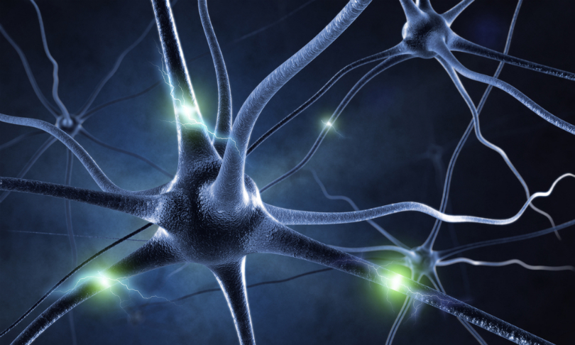 Sashkin_neurons_shutterstock