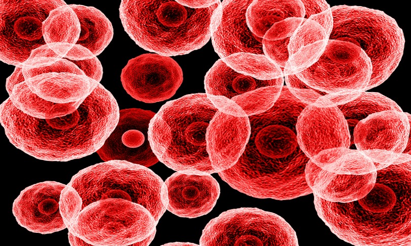 SebastianTomus_cells_Shutterstock