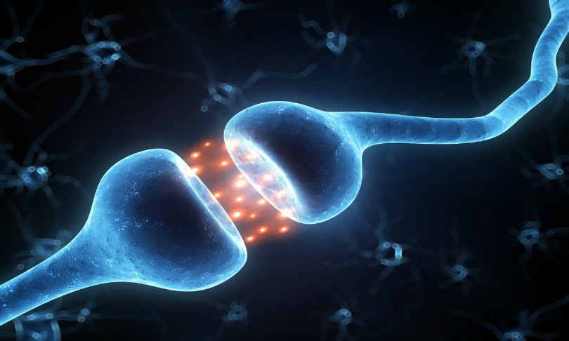 Sebastian_Kaulitzki_brain-cells_shutterstock