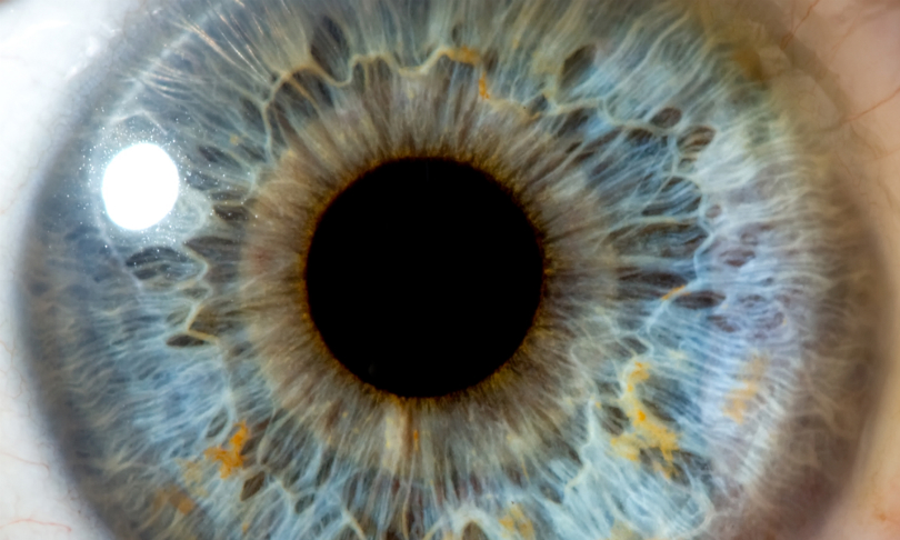 Tatiana_Makotra_eye_shutterstock