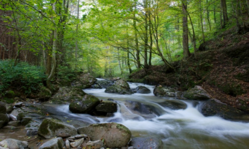 Tjanze_river_iStock