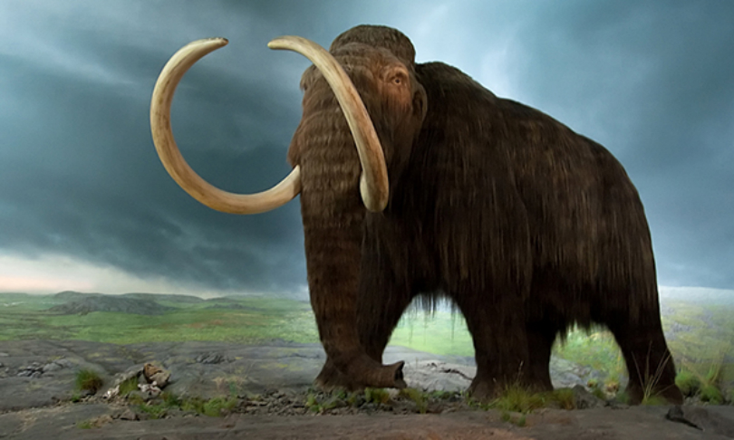 Tyler_Ingram_IceAge_Flickr