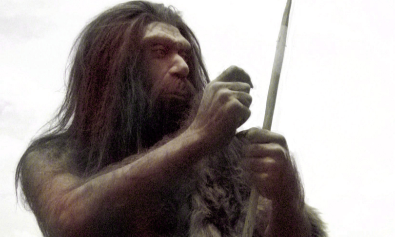 Wikimedia_Neanderthal-2D_Model