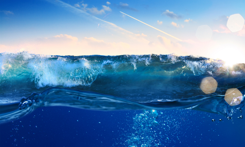 Willyam_Bradberry_ocean_shutterstock
