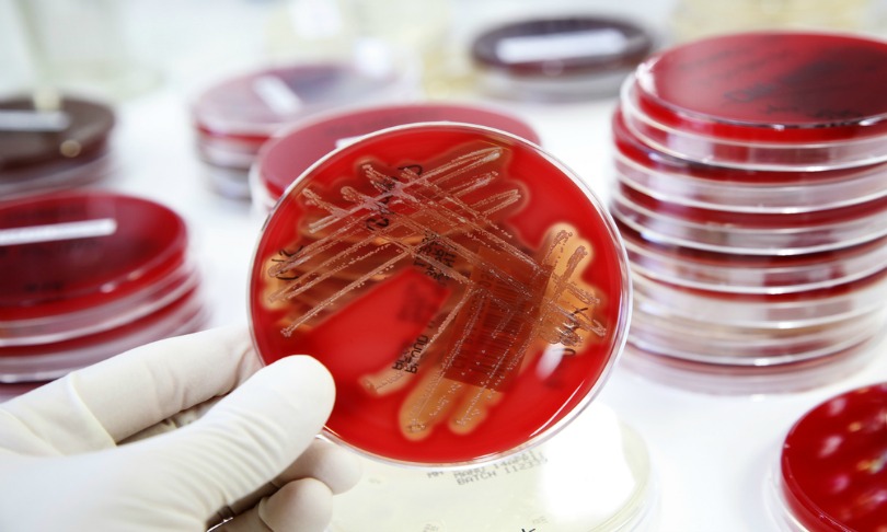 attem_bacteria_shutterstock