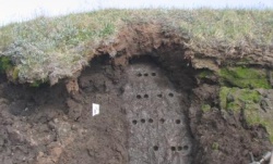 clare_soil.jpg clare_soil.jpg