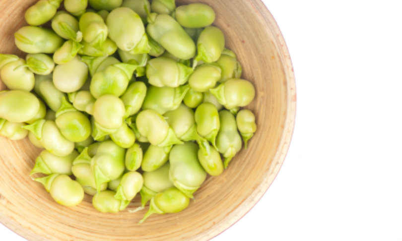 faba_beans_habari1_istock
