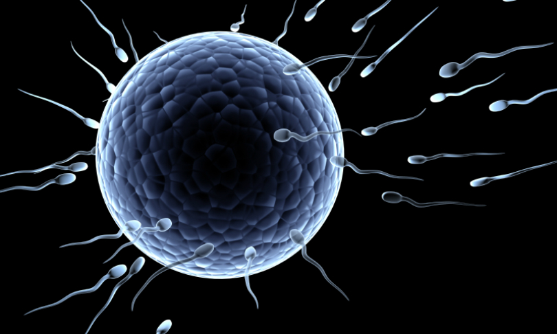 frentusha_EggCell_iStock