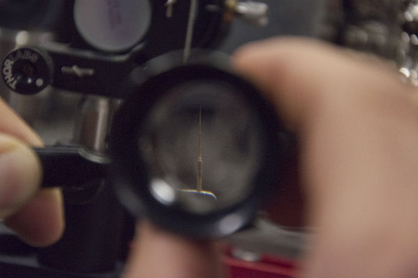 gold-nanowire