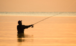 doug4537_istock_angler.jpg doug4537_istock_angler.jpg