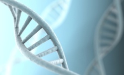 istock_dna-small.jpg istock_dna-small.jpg