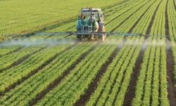 istock_pesticide.jpg istock_pesticide.jpg