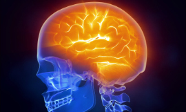 janulla-brain-iStock