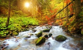 konradlew_-_river_stream