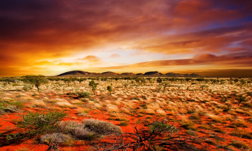 kwest_diversity_Shutterstock