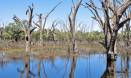 Farmers want to 'bank' water