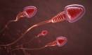 Sperm 'blocking' method found
