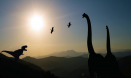 Think you know what a dinosaur looks like? Think again...