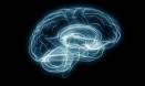 Changing visuals challenge brain