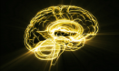 Brains re-wire after injury