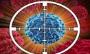 Novel molecule kills tumour cells