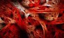 Muscle regeneration a reality