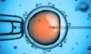 Stem cell creation mapped